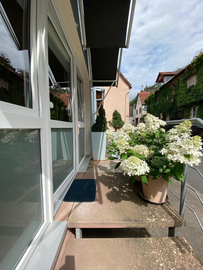 Wunderschoenes Studio Fuer Bis Zu 2 Personen Homburg  Exteriér fotografie